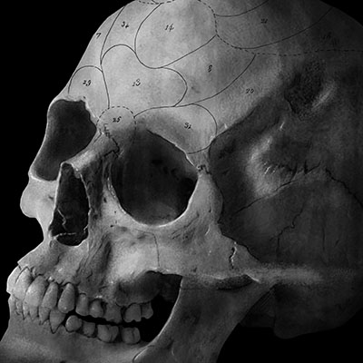 Illustration: Frenologi fra Worms Skat